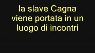 Dildo in culo e poi in bocca