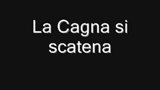 Cagna scatenata gode