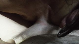 Una mia amica mi fa un pompino