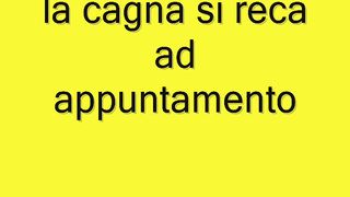 La cagna si reca ad appuntamento col cazzo