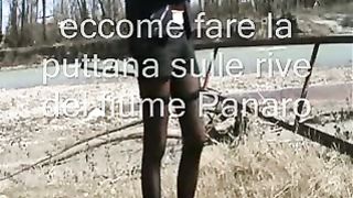 Esibizione della troia al fiume