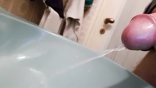 Faccio pipì in bagno