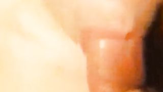 Tettona maiala pompinara italiana