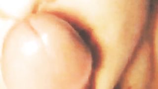 Tettona maiala pompinara italiana