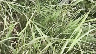 Scopo la moglie del mio amico