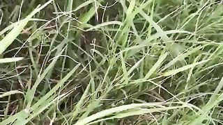 Scopo la moglie del mio amico