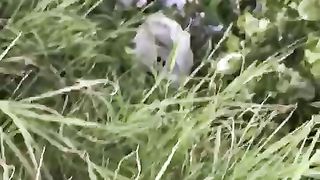 Scopo la moglie del mio amico