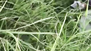 Scopo la moglie del mio amico