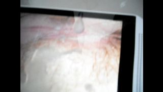 Tributo di Virtualbull a Lolita Di Napoli