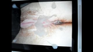 Tributo di Virtualbull a Lolita Di Napoli