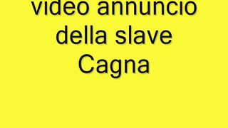 Trav passiva schiava