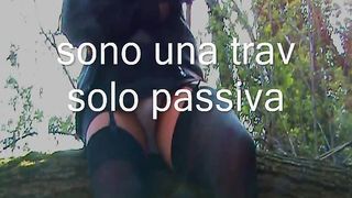 Trav passiva schiava