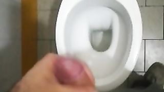 Sega in bagno pubblico