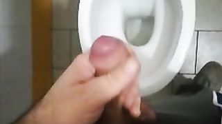 Sega in bagno pubblico