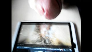 Tributo di Virtualbull alla moglie di Pippo 78