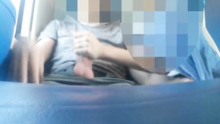 Sesso su Trenitalia per Milano Centrale