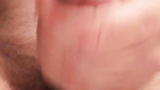 La sega della sera...