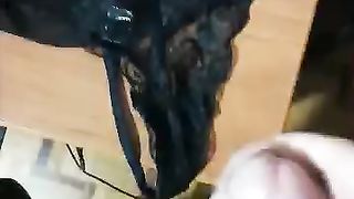 Lei voleva i suoi slip con la mia sborra