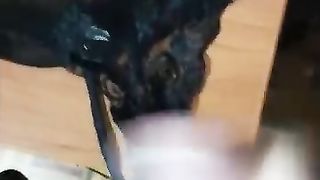 Lei voleva i suoi slip con la mia sborra