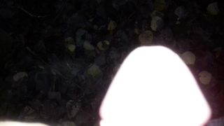 Pisciata nel bosco a Modena