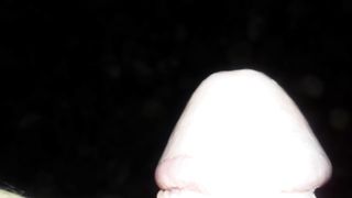 Pisciata nel bosco a Modena