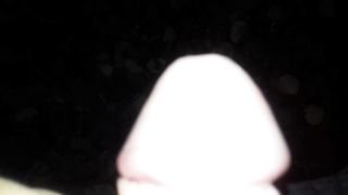 Pisciata nel bosco a Modena