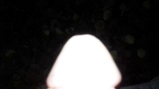 Pisciata nel bosco a Modena