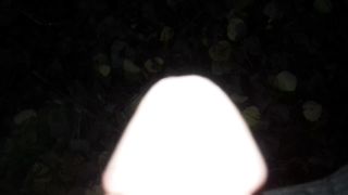 Pisciata nel bosco a Modena