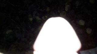 Pisciata nel bosco a Modena