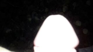 Pisciata nel bosco a Modena