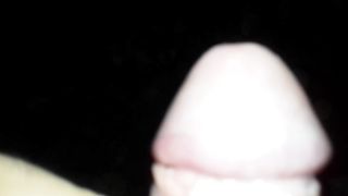 Pisciata nel bosco a Modena