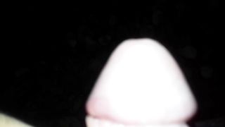 Pisciata nel bosco a Modena