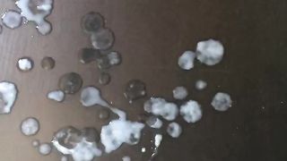 Tributo per maialina86!