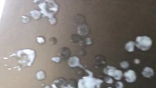 Tributo per maialina86!