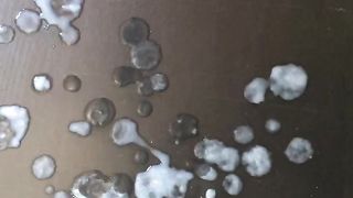 Tributo per maialina86!