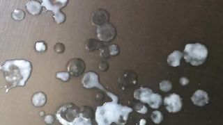 Tributo per maialina86!