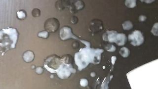 Tributo per maialina86!