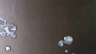 Tributo per maialina86!