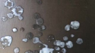 Tributo per maialina86!