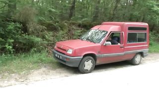 Bruna troia francese scopata all'aperto