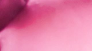 Tributo alla moglie di Silvano 1968