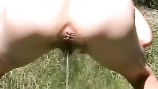 Pisciata alla pecorina