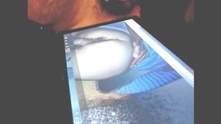 TRIBUTO DI VIRTUALBUL ALLA BELLA CINQUANTENE FIOCCA 69