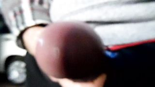 Sega dedicata a Sconosciuti4