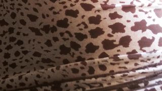 Trav 21enne alle prime armi