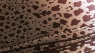 Trav 21enne alle prime armi