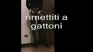 A gattoni Cagna!!!