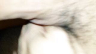 PASSEGGIANDO PER CASA