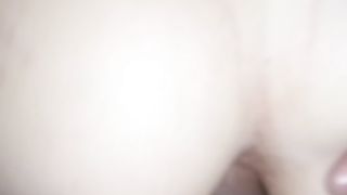 La mia amante a pecorina