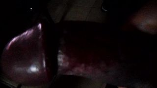 Sega dedicata a Giocoso